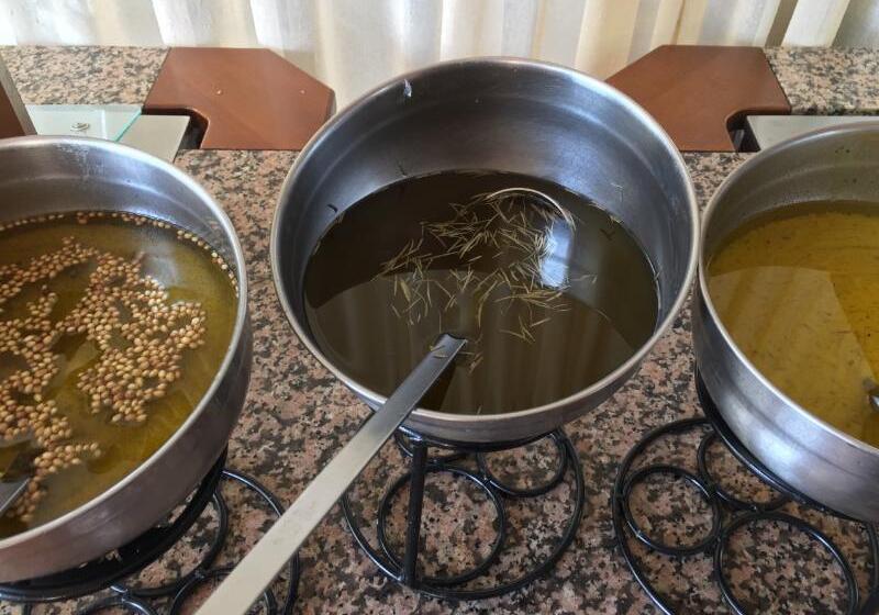 ホテル Diogenis Blue Palace