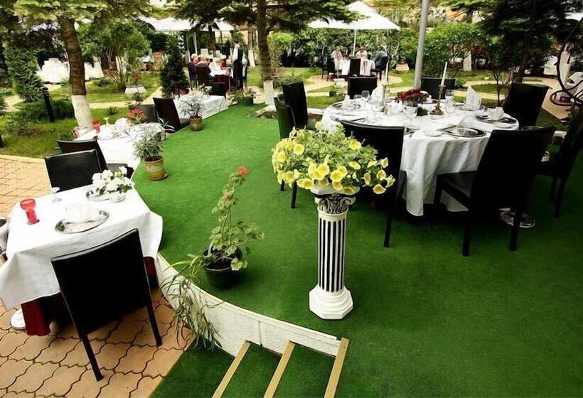 בית מלון כפרי Dumbrava