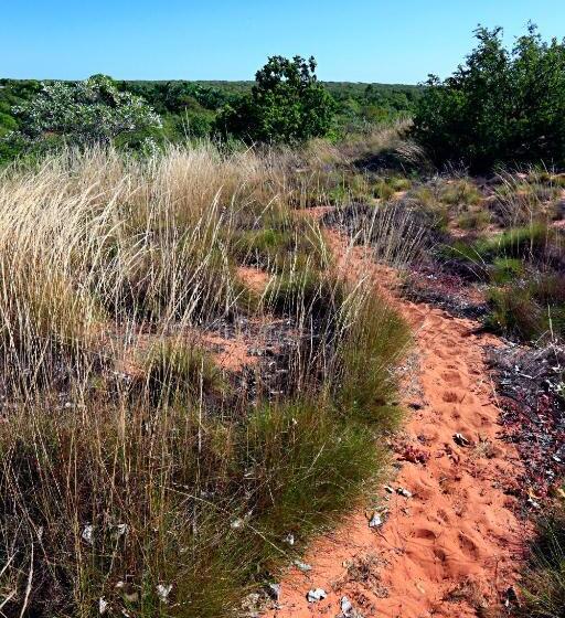 فندق Habitat Resort