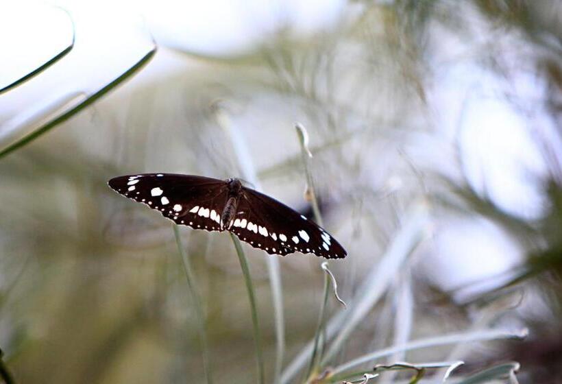 هتل Habitat Resort