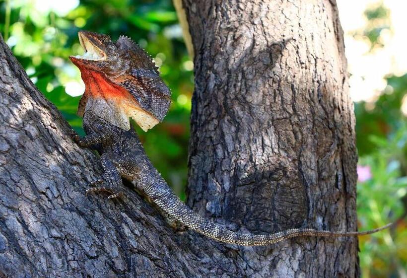 هتل Habitat Resort