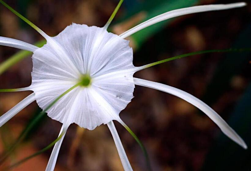 هتل Habitat Resort