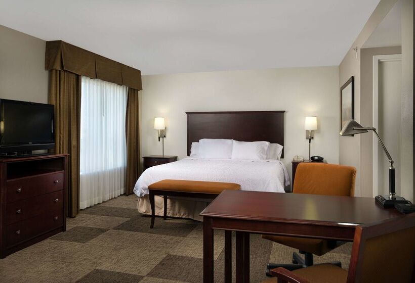 فندق Hampton Inn Suites Altus