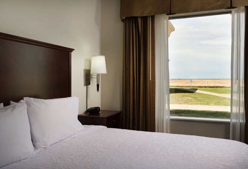 فندق Hampton Inn Suites Altus