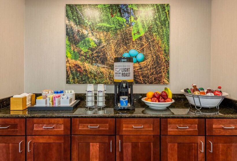 בית מלון כפרי Hampton Inn & Suites Hopkinsville