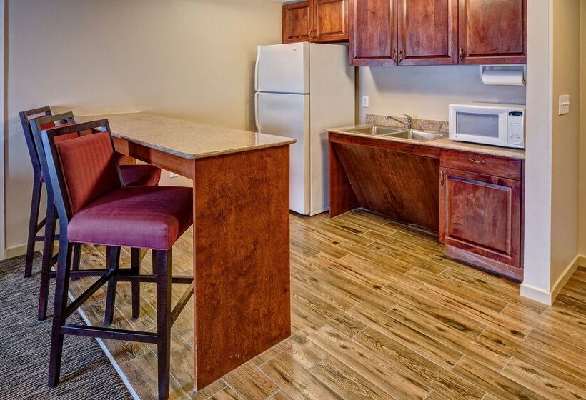 ホテル Hampton Inn By Hilton Dunn