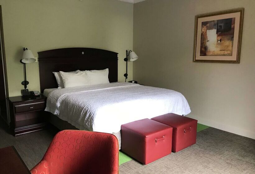 فندق Hampton Inn Vidalia