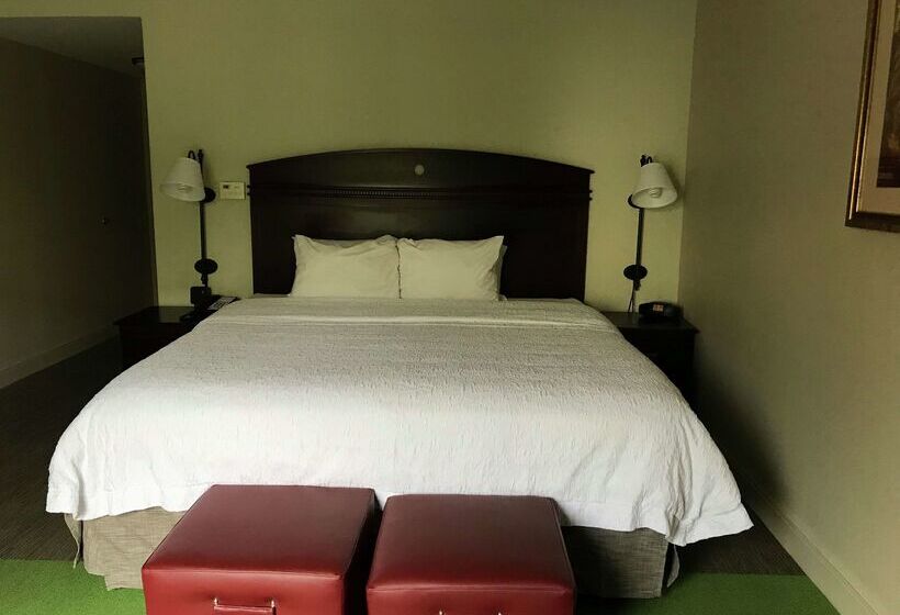 فندق Hampton Inn Vidalia