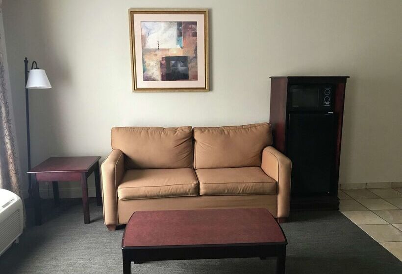 فندق Hampton Inn Vidalia