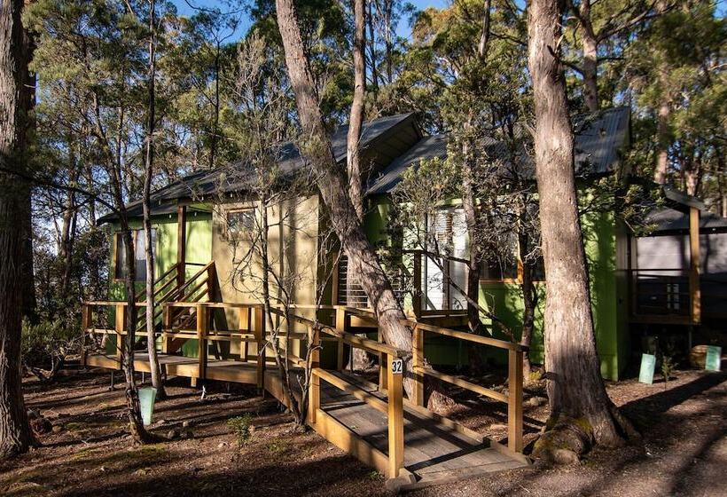 فندق Lake St Clair Lodge