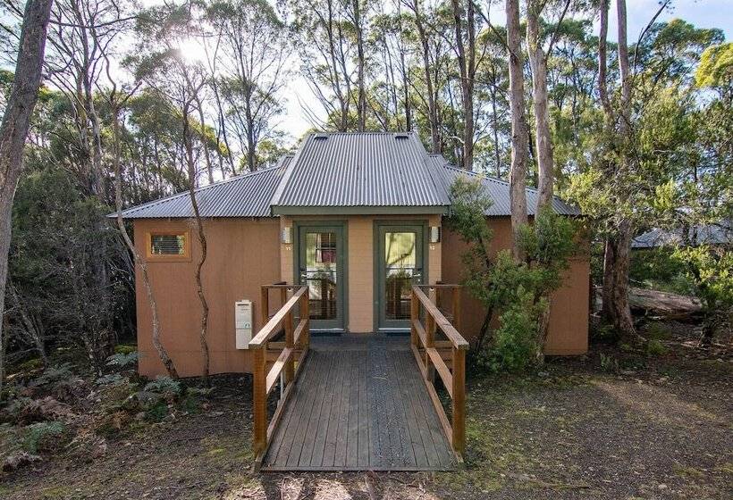 فندق Lake St Clair Lodge