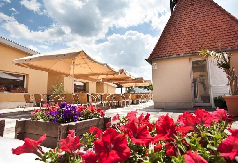 酒店 Makar Sport & Wellness