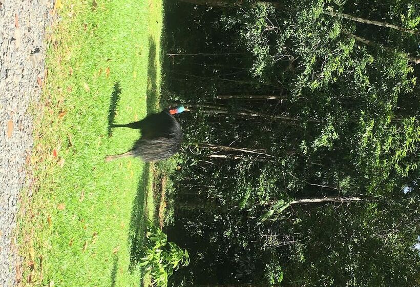 هتل Mowbray By The Sea