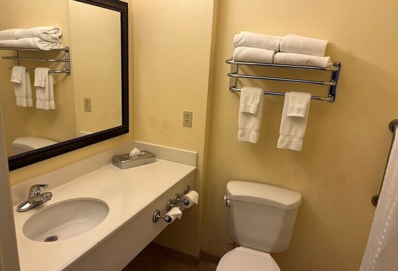 فندق Wyndham Garden Otsegominneapolis