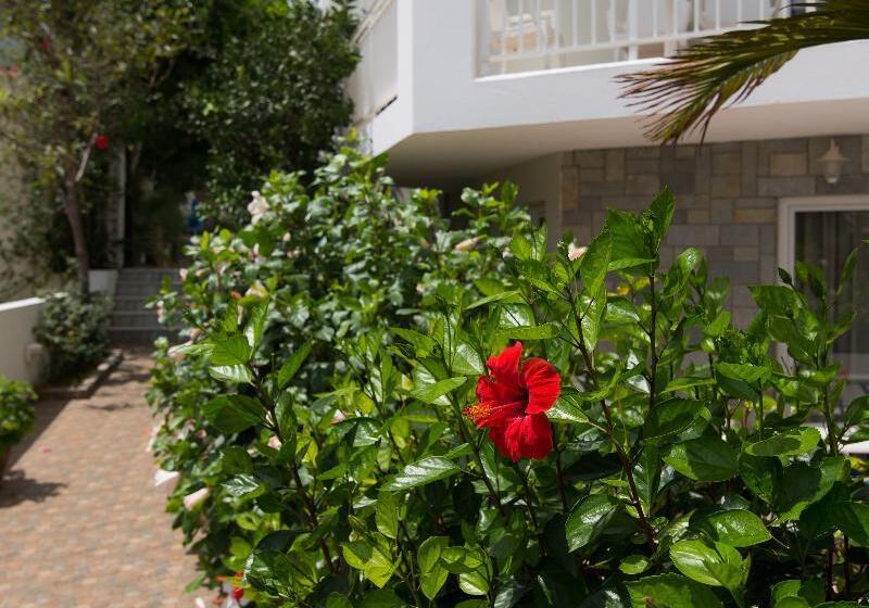 Melissa Apartments, Studios & Suites