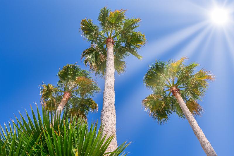 Nana Angela Apartments