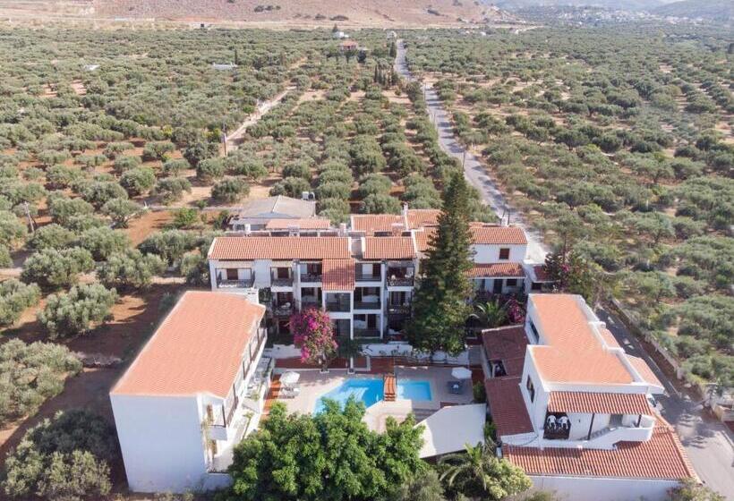 Rena Apartments By Checkin