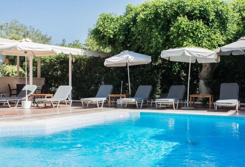 Rena Apartments By Checkin