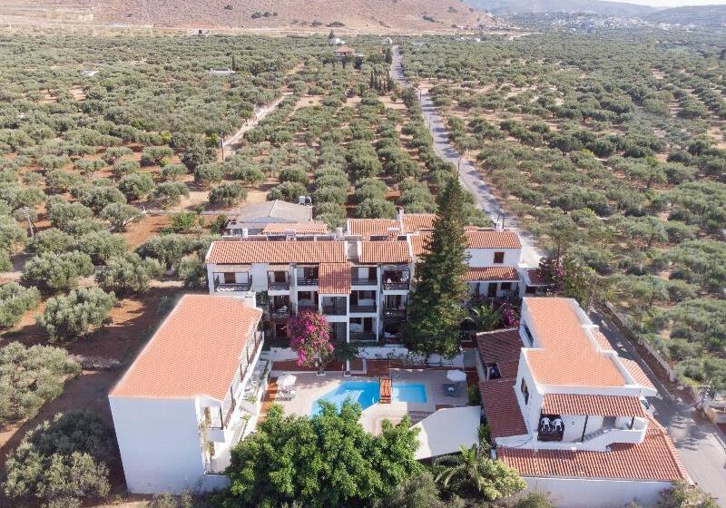 Rena Apartments By Checkin