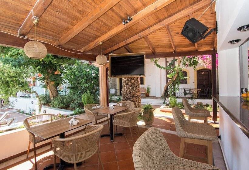 Rena Apartments By Checkin