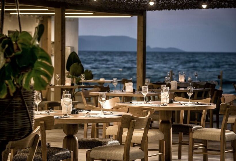 리조트 Enorme Maya Beach Hotel Adults Only