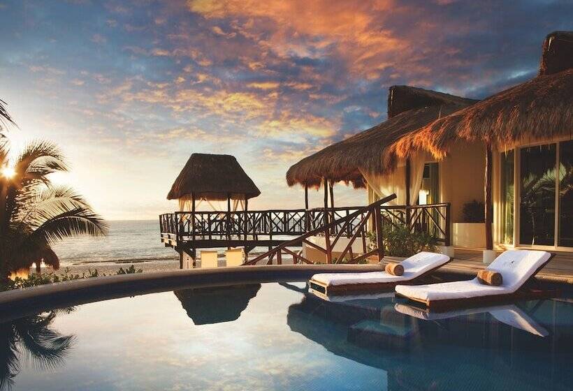 渡假胜地 El Dorado Casitas Royale Catamarán, Cenote & More Inclusive