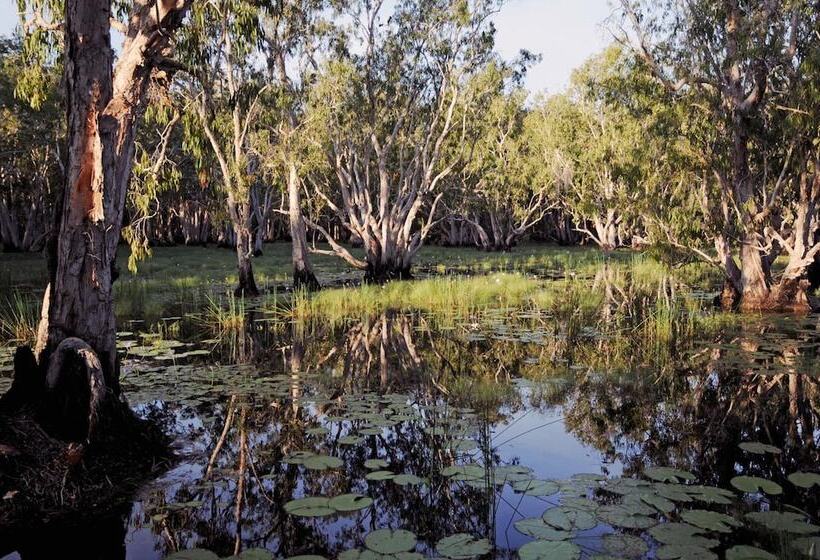 בית מלון כפרי Bamurru Plains