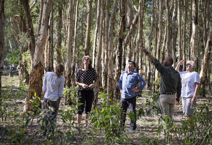 בית מלון כפרי Bamurru Plains