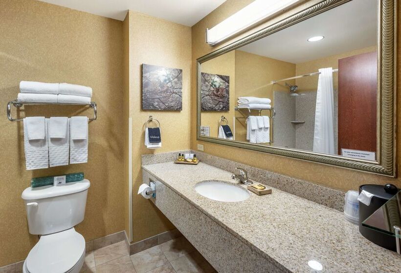 فندق Best Western Plus Ponderay Mountain Lodge Sandpoint