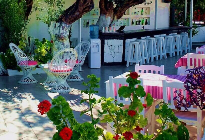 فندق Bircan