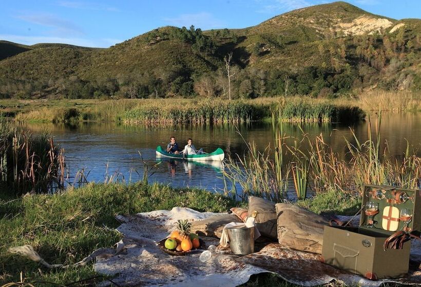 בית מלון כפרי Botlierskop Private Game Reserve