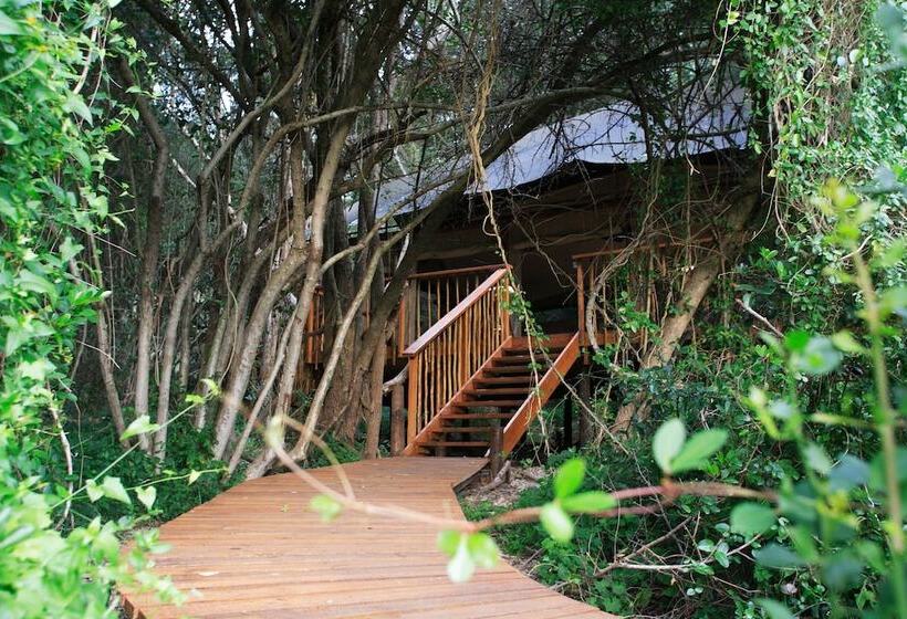 בית מלון כפרי Botlierskop Private Game Reserve