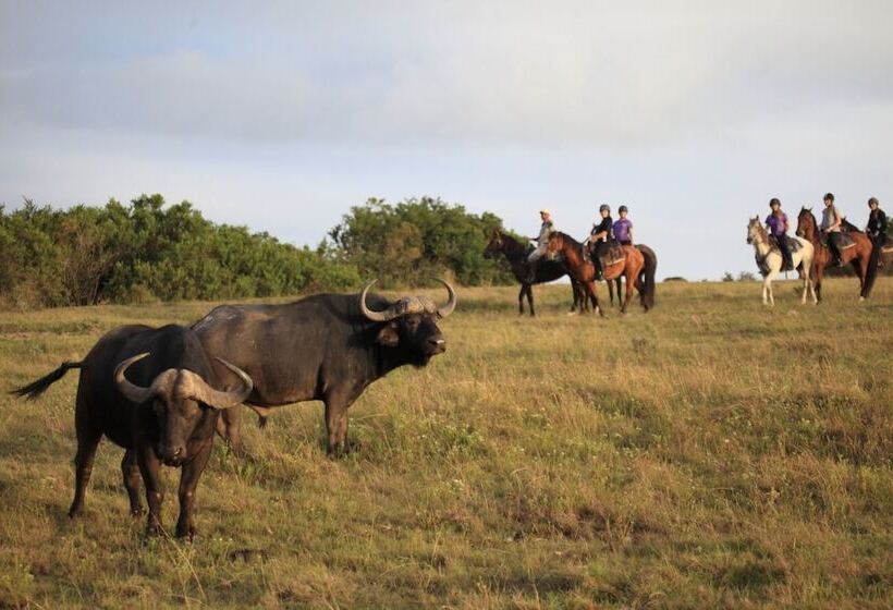 בית מלון כפרי Botlierskop Private Game Reserve