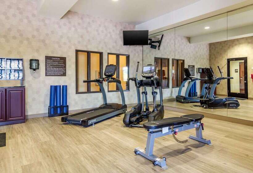 فندق Comfort Inn & Suites Brighton Denver Ne Medical Center