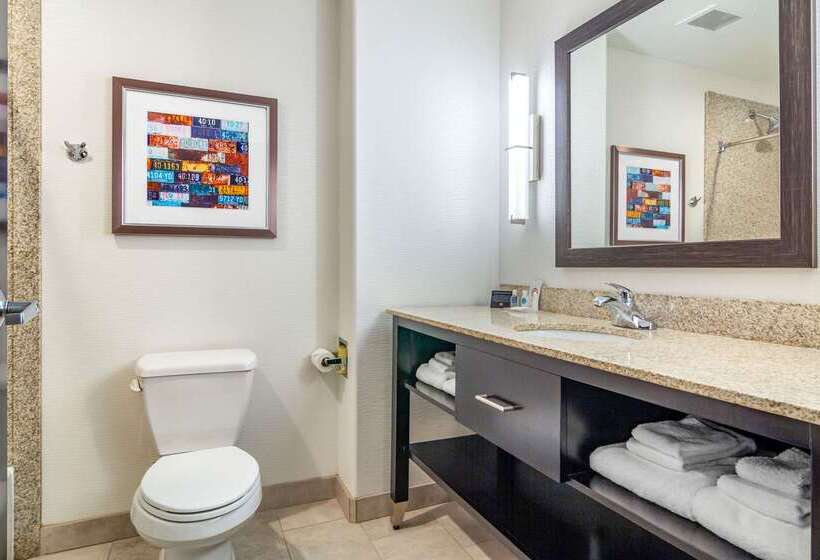 فندق Comfort Inn & Suites Brighton Denver Ne Medical Center