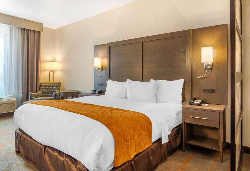 فندق Comfort Inn & Suites Brighton Denver Ne Medical Center