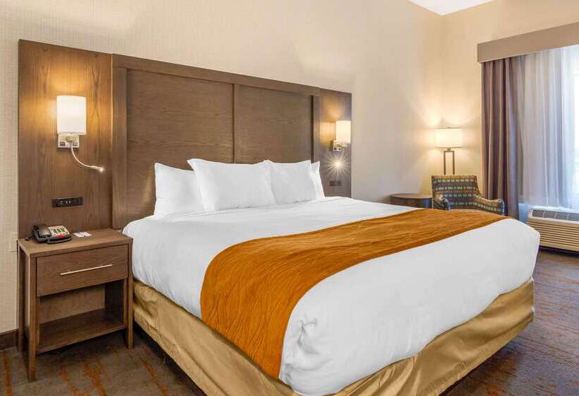 فندق Comfort Inn & Suites Brighton Denver Ne Medical Center