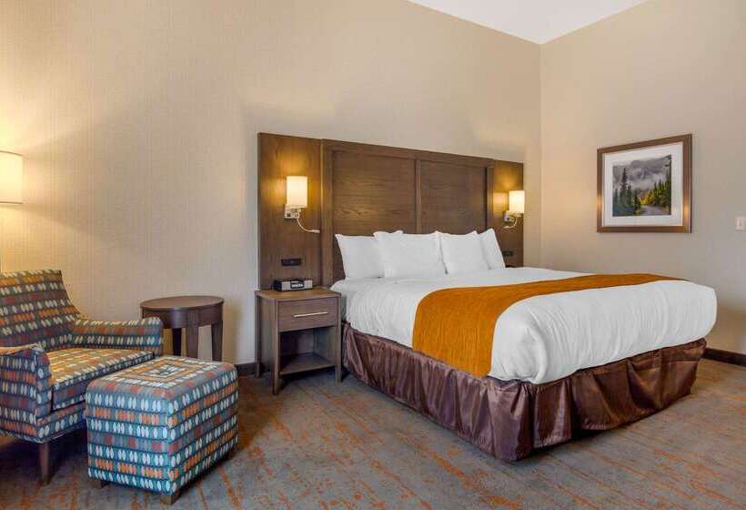 فندق Comfort Inn & Suites Brighton Denver Ne Medical Center