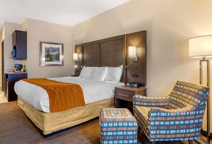 فندق Comfort Inn & Suites Brighton Denver Ne Medical Center