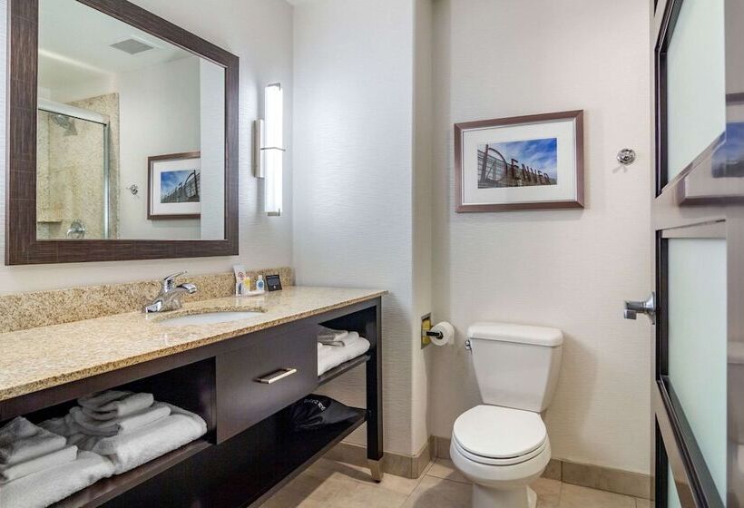 فندق Comfort Inn & Suites Brighton Denver Ne Medical Center