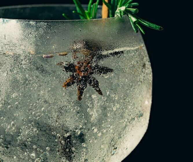 Отель Eden Roc Cap Cana