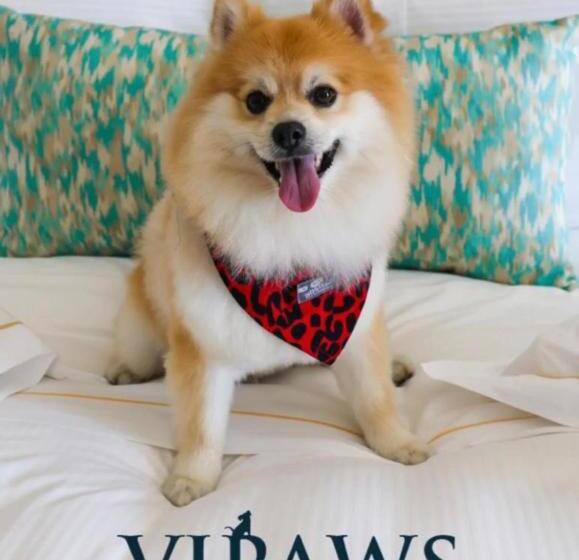 酒店 Eden Roc Cap Cana