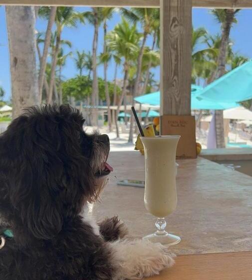 酒店 Eden Roc Cap Cana