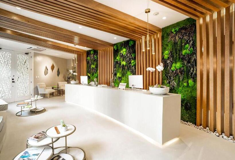 Отель Eden Roc Cap Cana