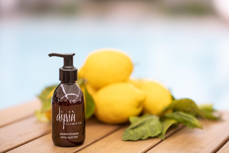 ホテル Giardino Mountain