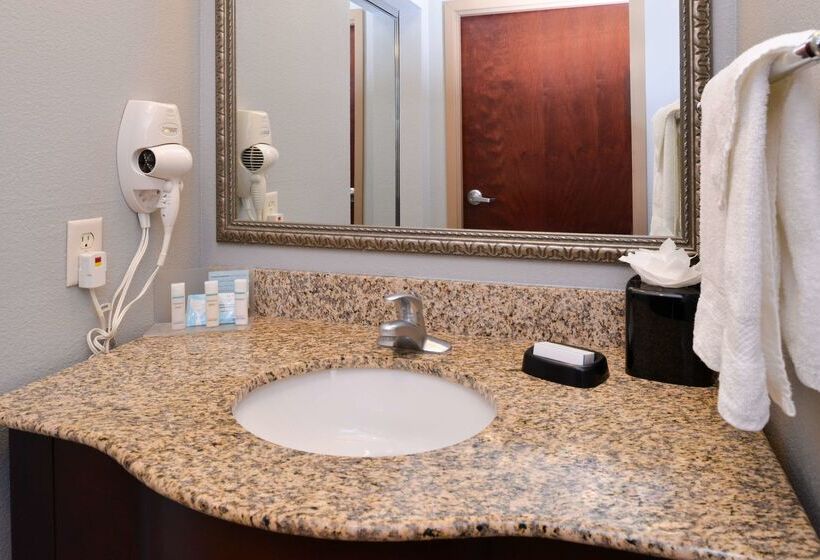 هتل Hampton Inn & Suites Greenville