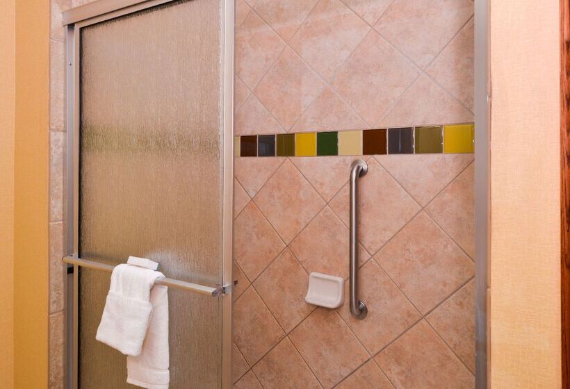 هتل Hampton Inn & Suites Greenville