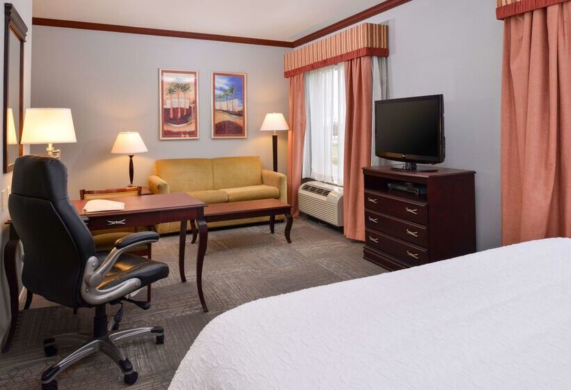 هتل Hampton Inn & Suites Greenville