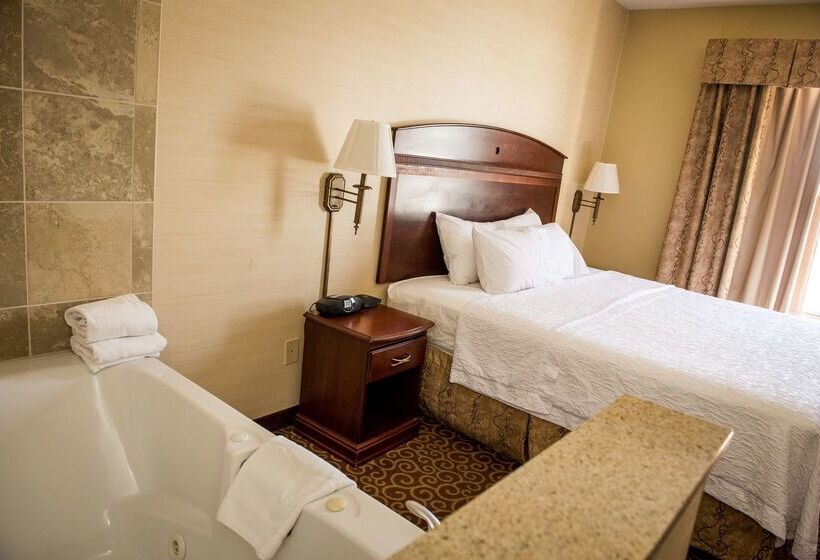 فندق Hampton Inn Plover/stevens Point