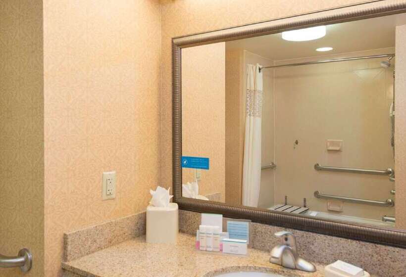 Отель Hampton Inn Schenectady Downtown